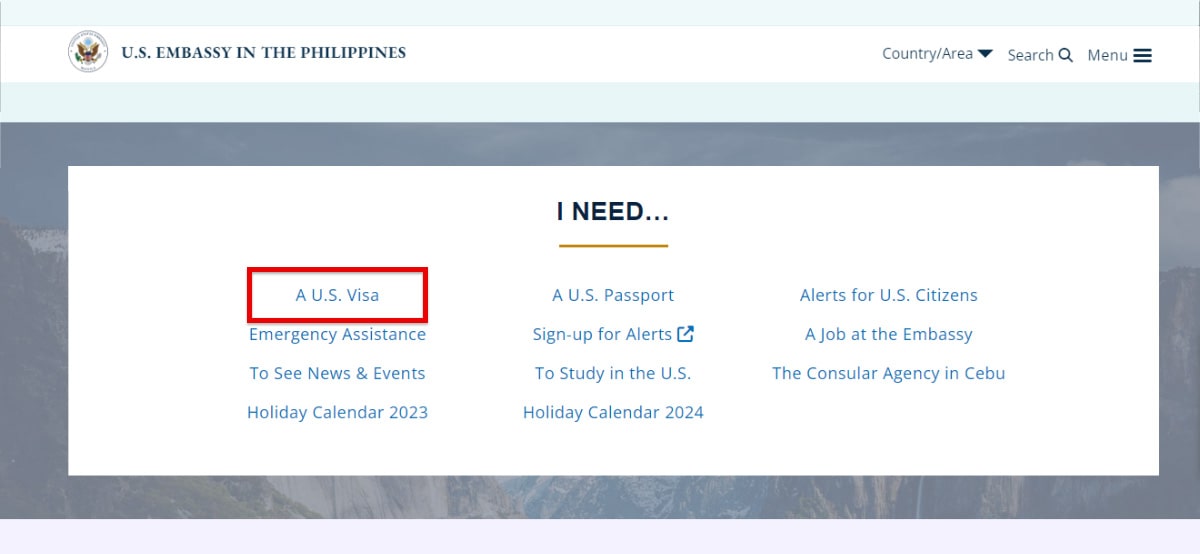 US tourist visa online application requirements