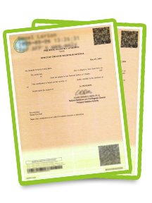 PSA Birth Certificate